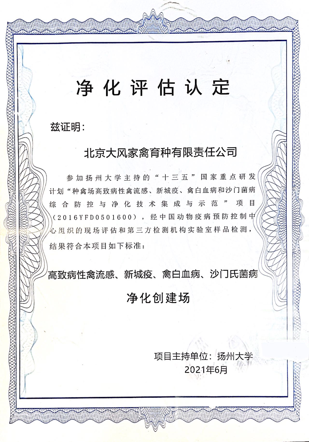1665753212279541.jpg 3.jpg