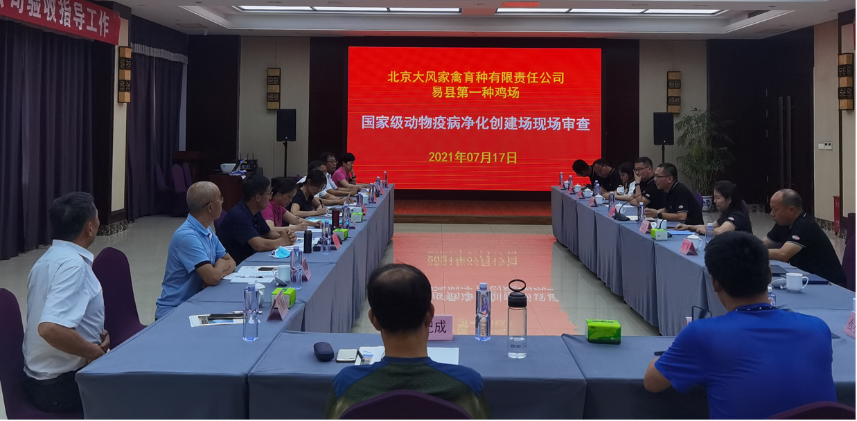PP电子仿照器(试玩游戏)官方网站