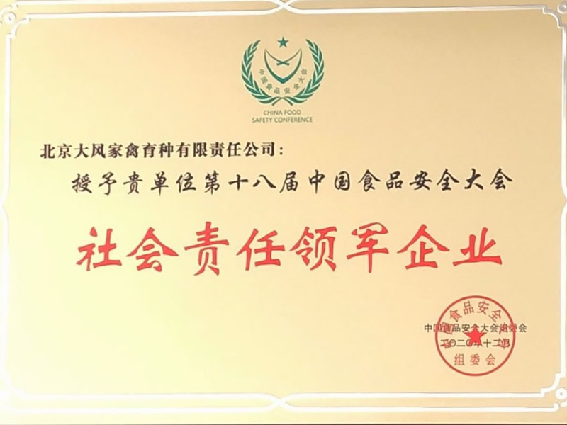 Leading Enterprise in Social Responsibility 