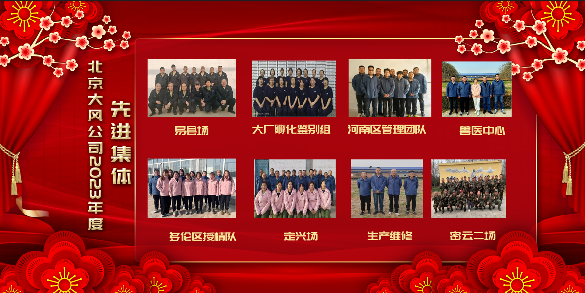 先进集体-幼.png