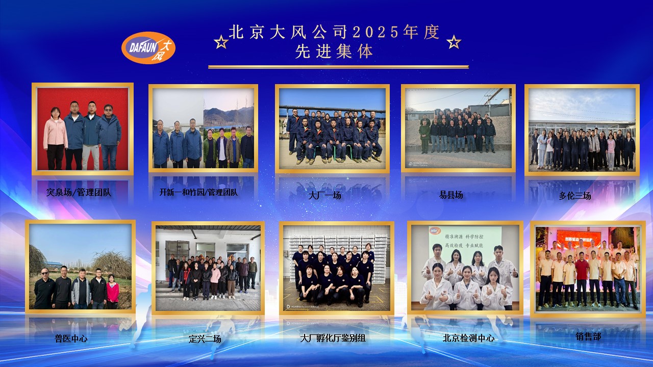 北京PP电子模拟器赞美大会-2025.jpg