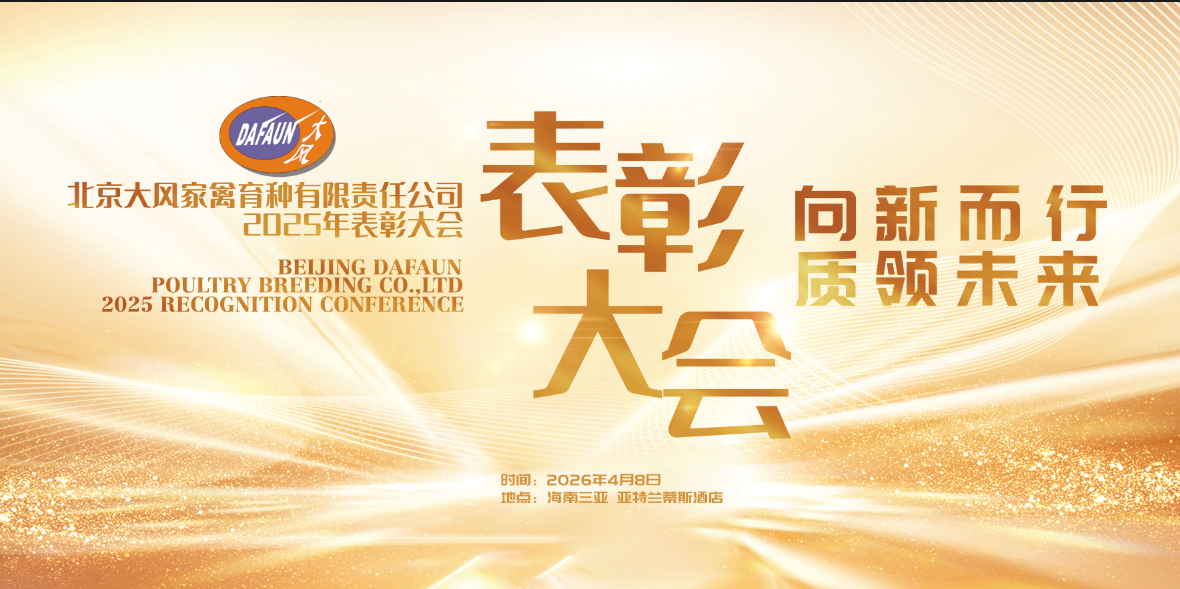 【向新而行 质领未来】